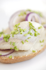 Herring Sandwich