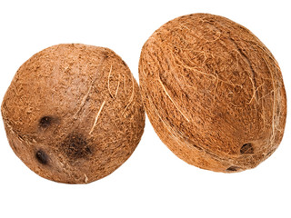 coconuts isolated on white background