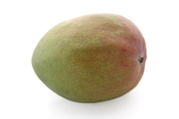 Mangue