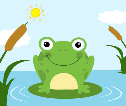 Frog Cartoon Character