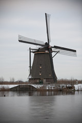Fototapeta na wymiar windmill in Kinderdijk