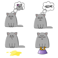 kitten set
