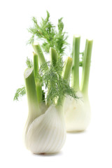 Fennel