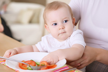 Fototapeta premium a young mother feeding her infant baby