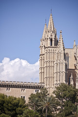 Fototapeta na wymiar Gothic cathedral in Palma de Mallorca (Balearic Islands - Spain)