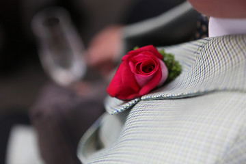 rose im revers