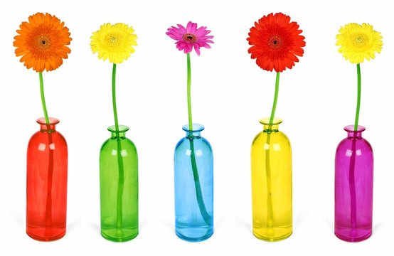 Colorful flowers in vases