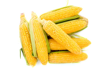 Few corn isolated on white