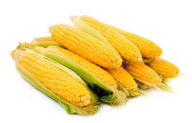 Few corn isolated on white