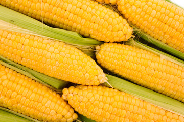 Few yellow corn
