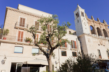 Fototapeta premium Olive tree and church
