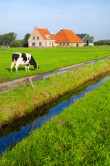 Fototapeta premium Typical dutch landscape