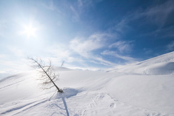 alps covered with snow, bohinj region