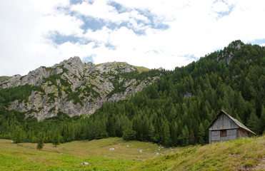 Obraz premium mountain pastures, juliljan alps