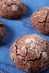biscotti al cioccolato artigianali