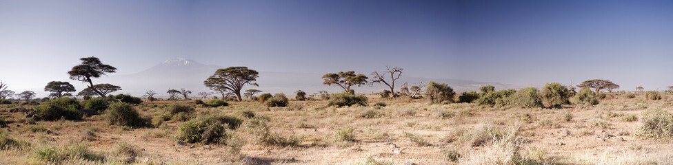 Naklejka premium Amboseli National Park