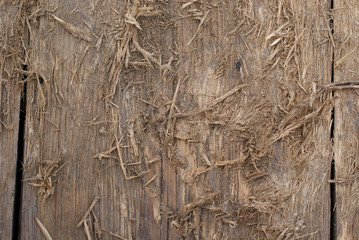 Wood Texture