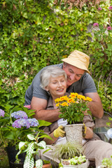 Senior couple working in the garden