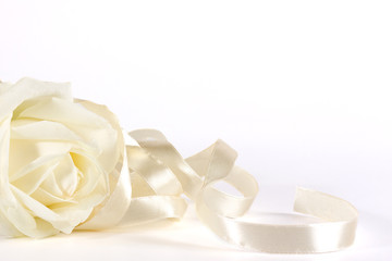 White rose and ribbon