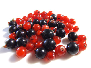 currant