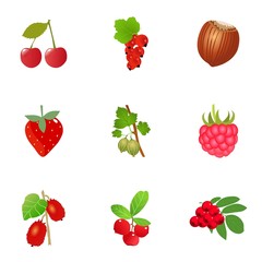 Set of fresh berries. Vector