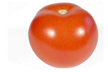 Tomate | Tomato