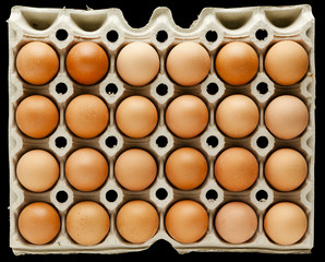 zwei dutzend braune hühner eier