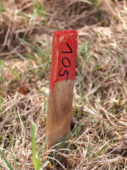 Holzpflock bei Neuerschliessung