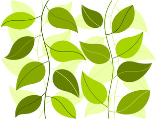 green plants background