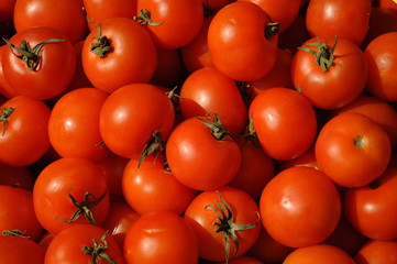 Tomaten auf dem Markt III