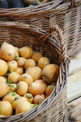 Gastronomie legume 32