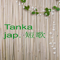 hintergrund bambus, begriff japanische lyrik, tanka