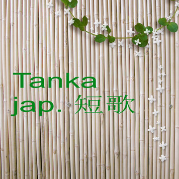 hintergrund bambus, begriff japanische lyrik, tanka
