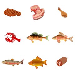 Set of meat and fish food. Vector