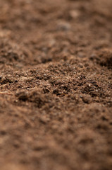 Close up of soil - can be used as background