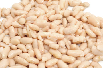 white beans