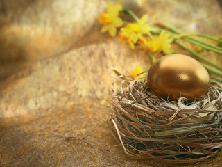 Golden Nest Eggs