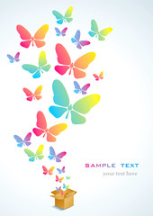Open box and the butterfly