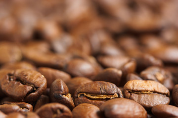 Coffee Beans Closeup