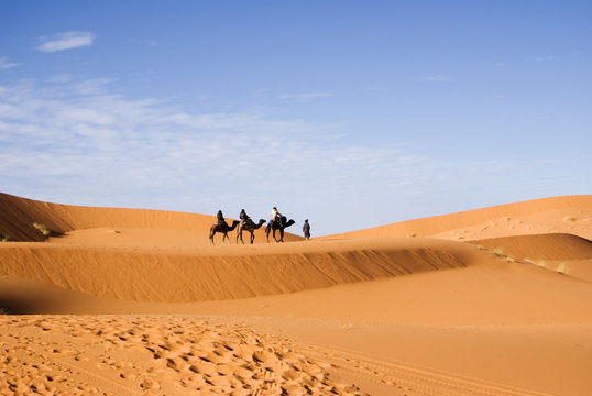 Camel Ride