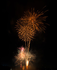Obraz premium Beautiful fireworks as palm at night