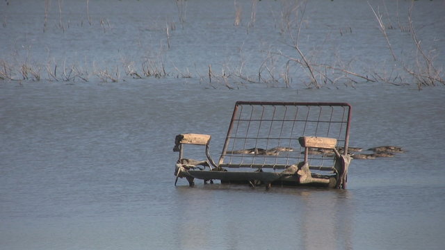 Ducks swimming by an old chair dumped in a lake.