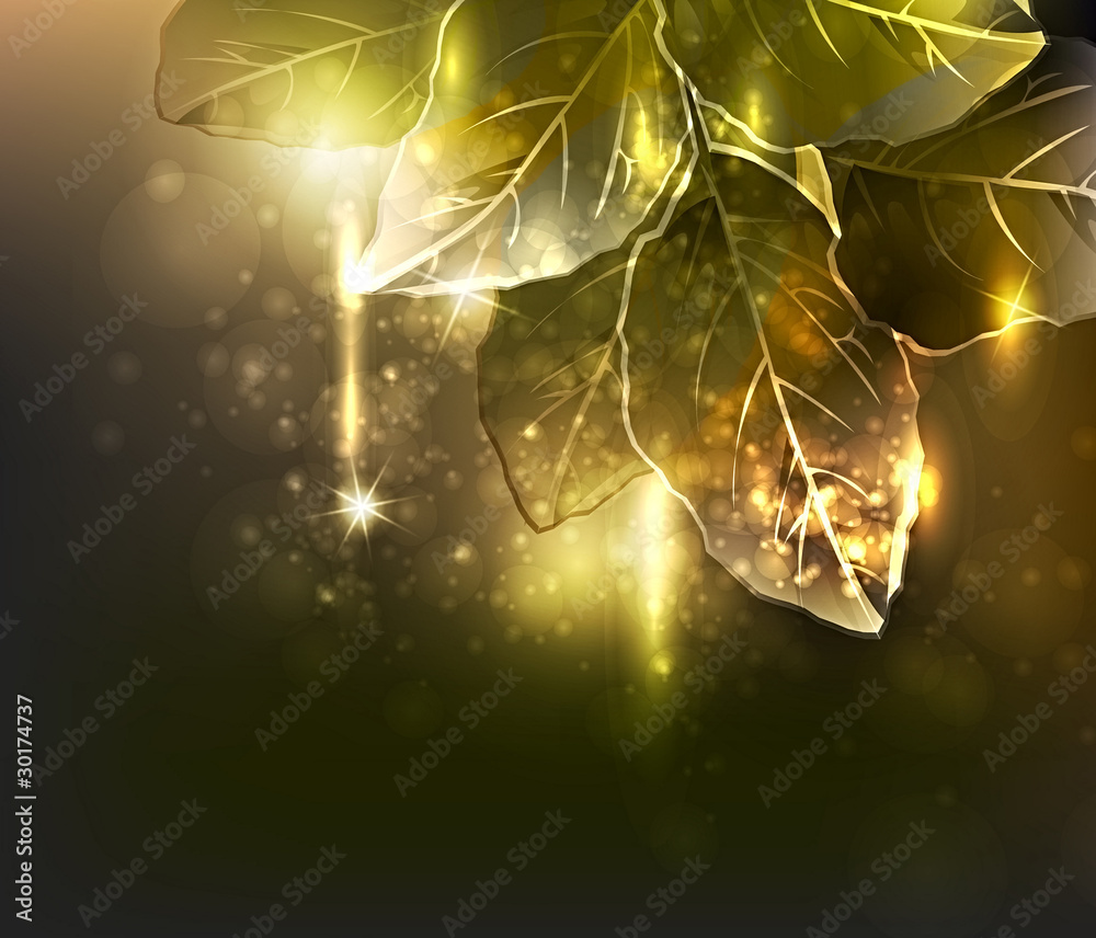 Wall mural gold leaves. vector illustration