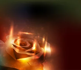 Rolgordijnen Rose. Vector illustration. © blina
