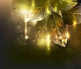 Tuinposter gold leaves. vector illustration © blina