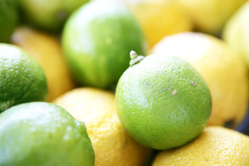 zitronen,limonen,limetten