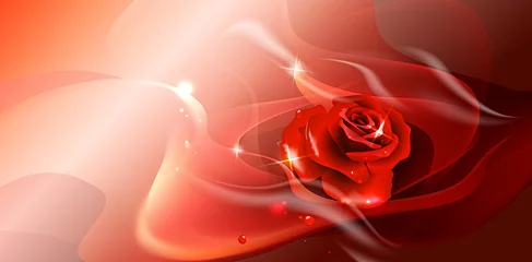 Zelfklevend Fotobehang Rose. Vector illustration. © blina