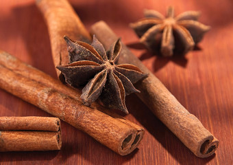 Stick of cinnamon with anise