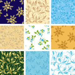 set of various vector seamless patterns with flora