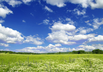 field